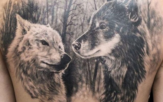 Wolf tattoo: the best illustrations to choose from!