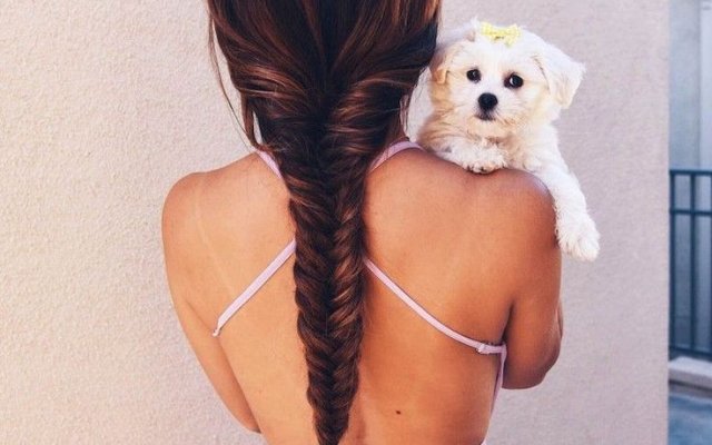 Peinados con trenzas: mira 70 inspiraciones increíbles