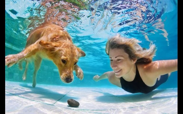 Foto in piscina: scopri come scatenare i tuoi social network