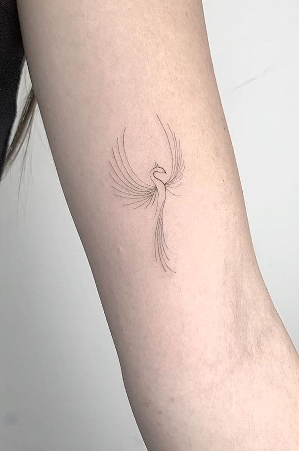 Inspírate con 55 bellas imágenes de tatuajes de ave fénix femenina