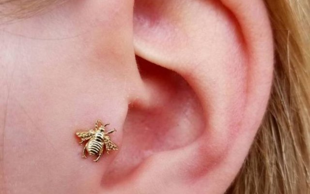 Piercing sur le tragus : Consultez les conseils d'entretien et les modèles